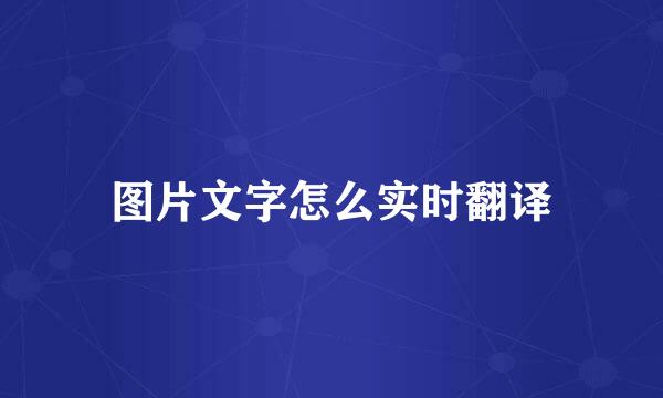图片文字怎么实时翻译