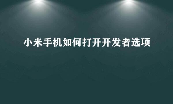 小米手机如何打开开发者选项