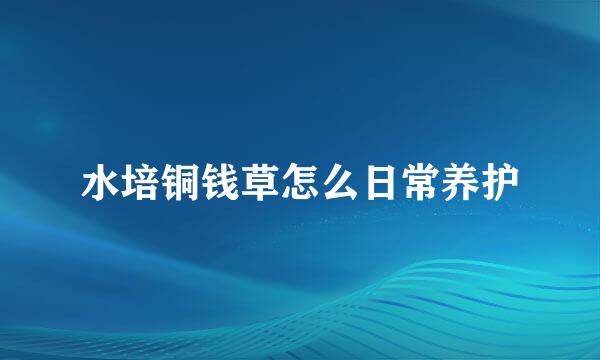 水培铜钱草怎么日常养护