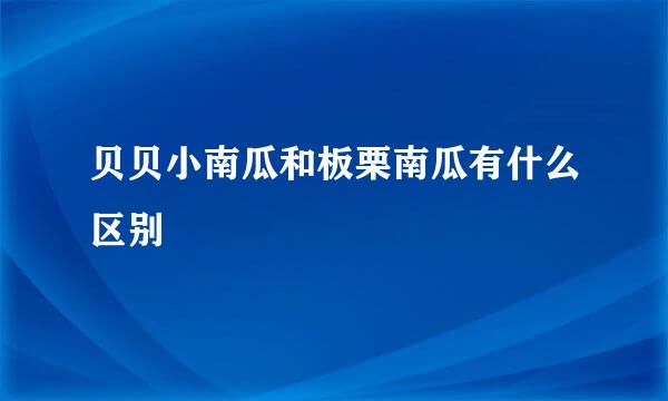 贝贝小南瓜和板栗南瓜有什么区别