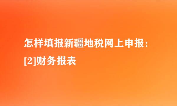 怎样填报新疆地税网上申报：[2]财务报表