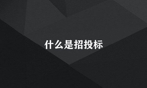 什么是招投标