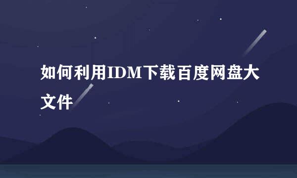 如何利用IDM下载百度网盘大文件