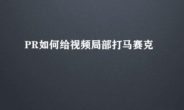 PR如何给视频局部打马赛克
