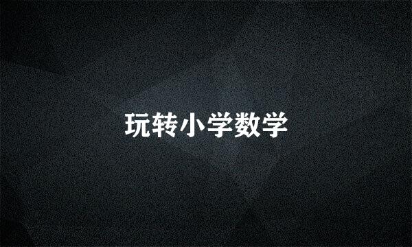 玩转小学数学