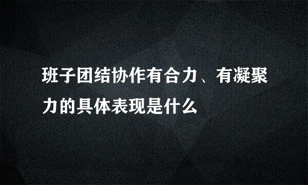 班子团结协作有合力、有凝聚力的具体表现是什么
