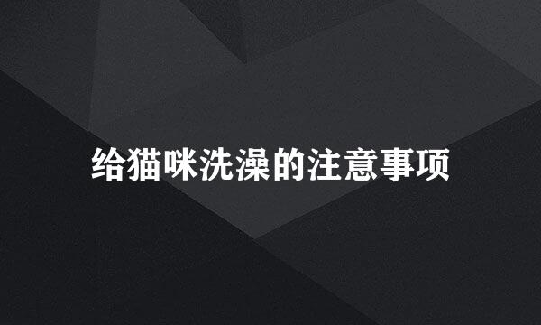 给猫咪洗澡的注意事项