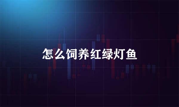 怎么饲养红绿灯鱼