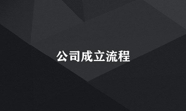 公司成立流程