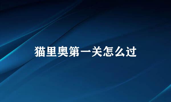 猫里奥第一关怎么过