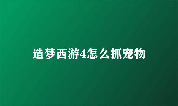 造梦西游4怎么抓宠物