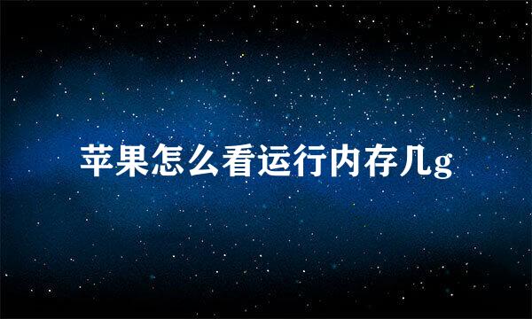 苹果怎么看运行内存几g