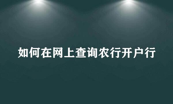 如何在网上查询农行开户行