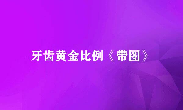 牙齿黄金比例《带图》