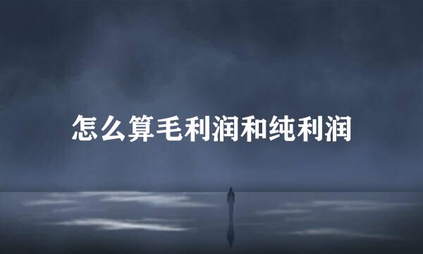 怎么算毛利润和纯利润