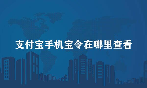 支付宝手机宝令在哪里查看