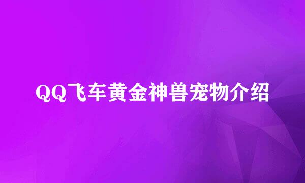 QQ飞车黄金神兽宠物介绍