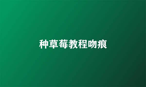 种草莓教程吻痕