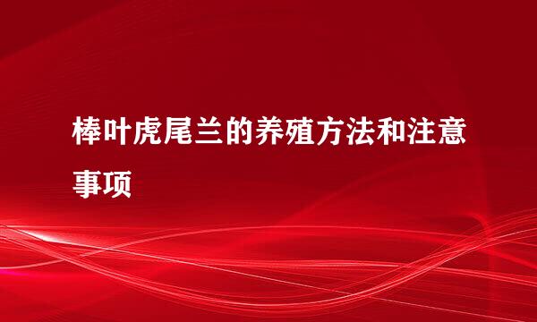 棒叶虎尾兰的养殖方法和注意事项