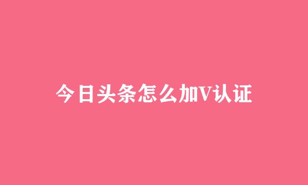 今日头条怎么加V认证