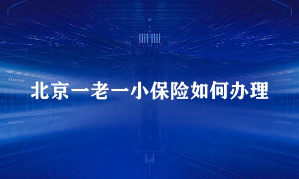 北京一老一小保险如何办理