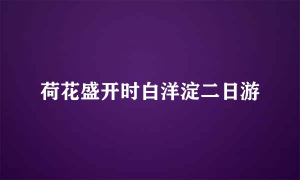 荷花盛开时白洋淀二日游