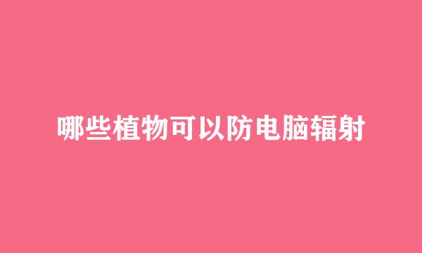 哪些植物可以防电脑辐射