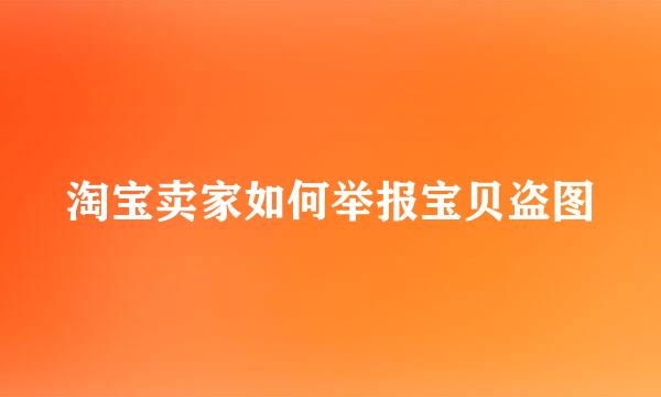 淘宝卖家如何举报宝贝盗图