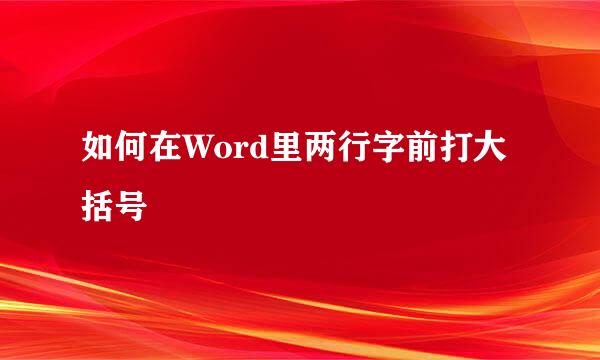 如何在Word里两行字前打大括号