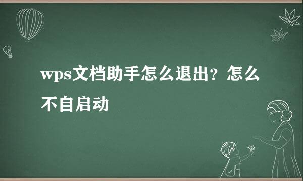 wps文档助手怎么退出？怎么不自启动