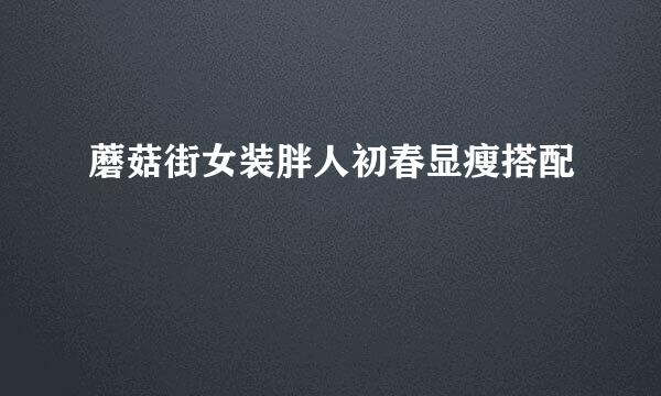 蘑菇街女装胖人初春显瘦搭配