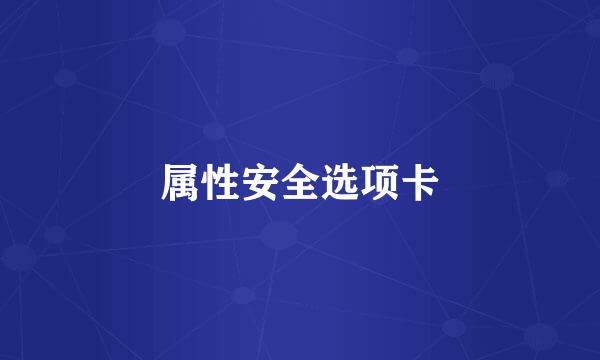 属性安全选项卡