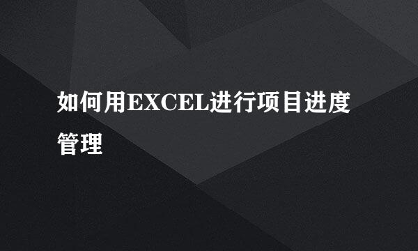 如何用EXCEL进行项目进度管理