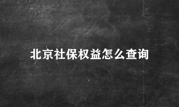 北京社保权益怎么查询