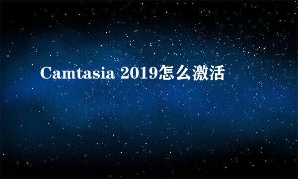 Camtasia 2019怎么激活