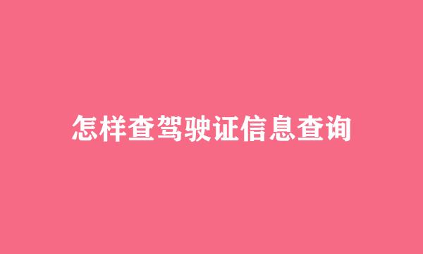 怎样查驾驶证信息查询
