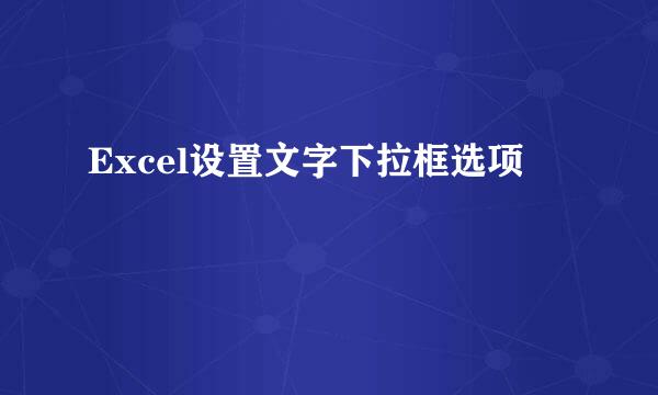 Excel设置文字下拉框选项