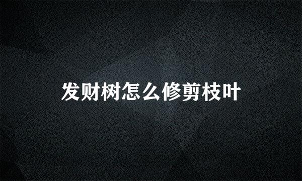 发财树怎么修剪枝叶