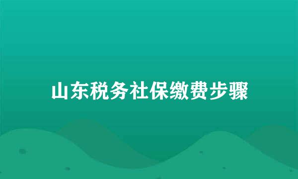 山东税务社保缴费步骤