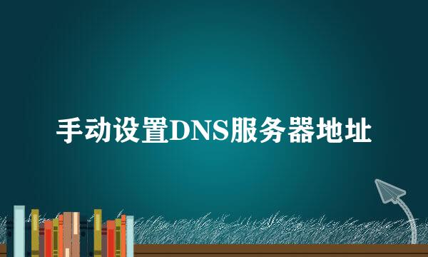 手动设置DNS服务器地址