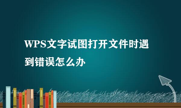 WPS文字试图打开文件时遇到错误怎么办