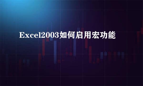 Excel2003如何启用宏功能