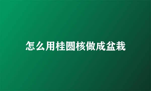 怎么用桂圆核做成盆栽