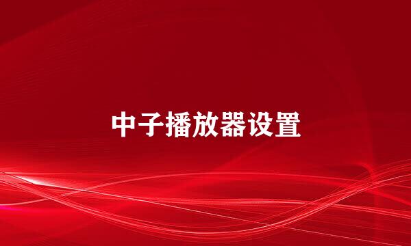 中子播放器设置