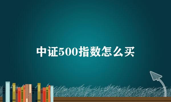 中证500指数怎么买