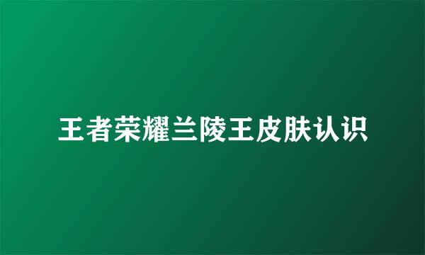 王者荣耀兰陵王皮肤认识