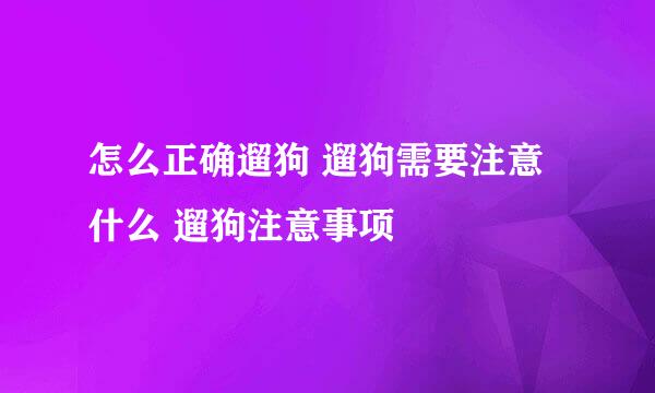 怎么正确遛狗 遛狗需要注意什么 遛狗注意事项