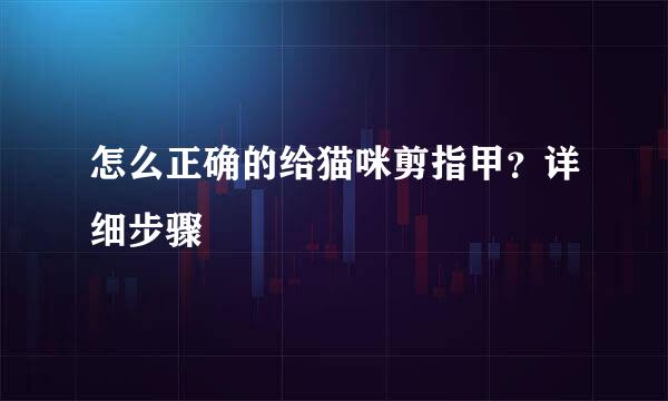 怎么正确的给猫咪剪指甲?详细步骤