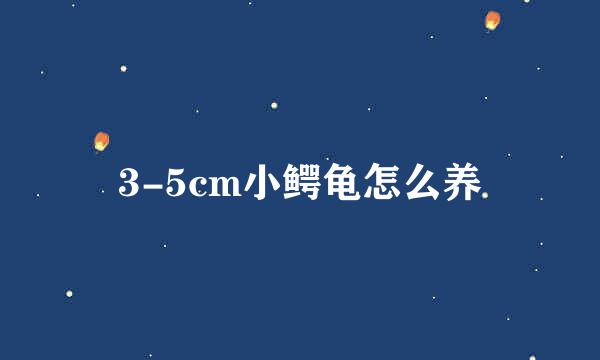 3-5cm小鳄龟怎么养