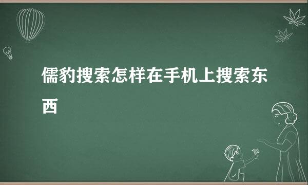 儒豹搜索怎样在手机上搜索东西